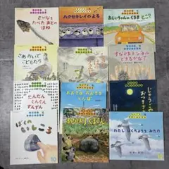 【美品】ちいさなかがくのとも 年中〜年長向け 12冊セット