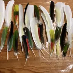 多色 羽根 クラフト用