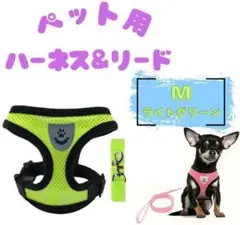 Item thumbnail for item dd5ad444-9f79-47c5-b863-957f8d08ab05
