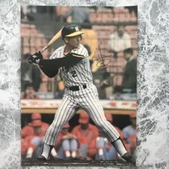 カルビープロ野球カード1979年阪神タイガース竹之内雅史 カルビープロ野球カード1979年阪神タイガース竹之内雅史 - メルカリ