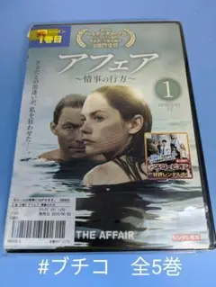 アフェア 情事の行方 [レンタル落ち] 全5巻セット [DVD] s255