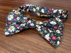 Item thumbnail for item c2c8acf3-4c4b-4af7-a382-a2a845a24a07