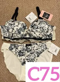 チュチュアンナ C75 感激のブラ 上下セット ブラジャー ショーツ 白 花
