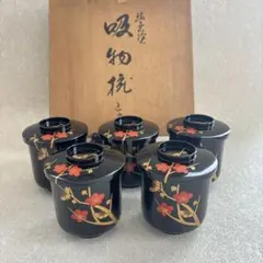 Item thumbnail for item 6a75c3b1-81b1-4166-afea-7a787c5578cc