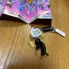 ガチャ　UFOキャッチャー　ガシャポン　猫ちゃん黒　ネコ　ランダム　マスコット