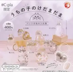 正規品 うちの子のけだまだま ガチャ c-pla限定版　全8種コンプリートセット