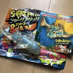 【開封・撮影のみ】シャークアタック！＆co. カリフォルニア・ネコザメ