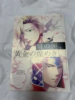 ジョジョの奇妙な冒険　同人誌　ミスフー