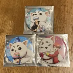 銀魂　定春バースデー缶バッジ　3点セット　坂田銀時　　 　志村新八　神楽