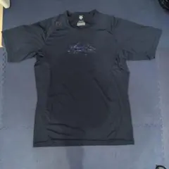 Item thumbnail for item 678c5d37-0024-41b8-8201-e4d2af6e74ea