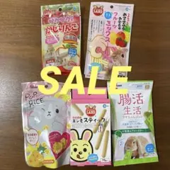 小動物 ウサギ チンチラ モルモット 乳酸菌 ゼリー 野菜 フルーツ 5点