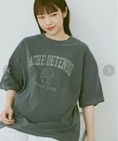 flaner フラネ ルーズピグメントウルフT