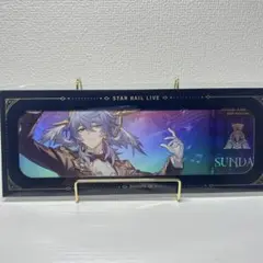 【スターレイル】公式正規品 未開封 サンデー チケット コンサート