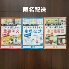 進研ゼミ　高校講座　イラストで覚えるキソ　英語・数学・国語　高1講座