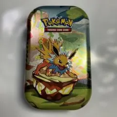 【海外限定】ポケモンカード　ダメカンケース