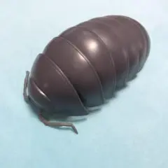 専用
