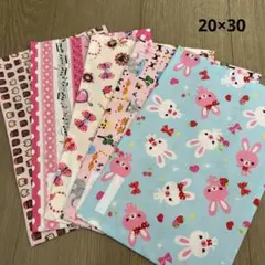 ランチョンマット ネームタグ付き ファンシー 20×30 5枚セット 女の子