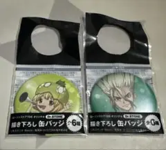 ローソンストア100 Dr.stone 缶バッジ