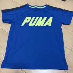 PUMA ロゴTシャツ 青150サイズ