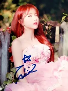 ホン・ジニョン 直筆サイン入り2Lサイズ写真…Hong Jin-young… ホン・ジニョン 直筆サイン入り2Lサイズ写真…Hong Jin-young
