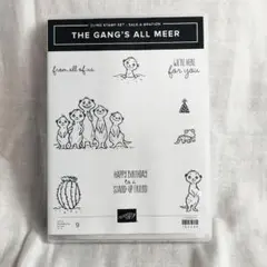 スタンピンアップ　スノーフレーク　セット スタンピンアップ SNOWFLAKE WISHES スタンプセット・ダイ