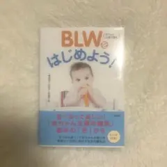 BLWをはじめよう! 河村美紀著