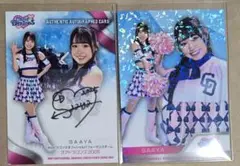 Item thumbnail for item 4f3d6e89-85aa-4374-8683-196bf56188b0