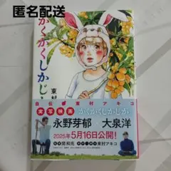 かくかくしかじか 　3巻のみ　東村アキコ