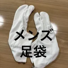 Item thumbnail for item 178f40b5-e03c-4efd-95b9-bfffb118231e