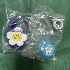Item thumbnail for item 70886ea8-dbda-4490-8d8e-50261166eb78