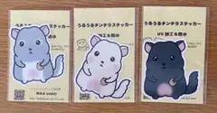 チンチラ スティッカー 3枚セット UV加工 うるうるチンチラ