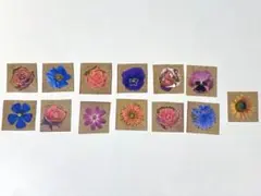 シール 花 13枚セット