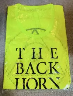 THE BACK HORN