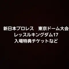 新日本プロレス 東京ドーム大会 レッスルキングダム17 入場特典チケットなど