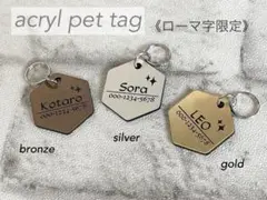 Item thumbnail for item b2f5147a-4edf-46bd-be4a-443b08a2b83a