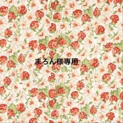 ハンドメイドポーチ　ユキエモン　２点