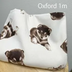 【オークション】綿オックス1ｍかわいい柴犬パピー仔犬柄はぎれ生地