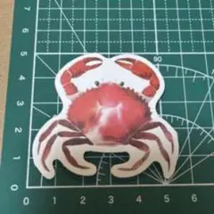 カニのイラスト マグネット