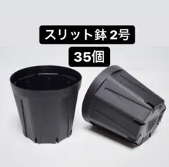 CSM-60 スリット鉢 2号 ×35個 プラ鉢 黒