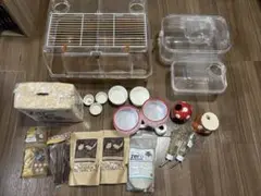 Item thumbnail for item 6bba4aef-719c-4136-983a-0545b9440e92