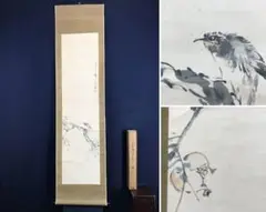 岡本秋輝【孔雀】肉筆　絹本　掛軸（幕末期 4大家） 岡本秋輝【孔雀】肉筆 絹本 掛軸（幕末期 4大家） - メルカリ