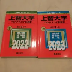 上智大学(TEAPスコア利用方式)