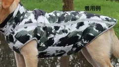 Item thumbnail for item baf445b5-da56-4451-982c-e6450f250164