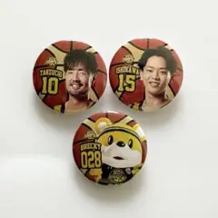 宇都宮ブレックス 缶バッジ ブレッキー