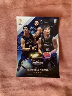 Bリーグ チャンピオンシップ2024-25 くじプラ シーホース三河