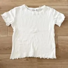 リブ素材 ホワイト Tシャツ フリル袖