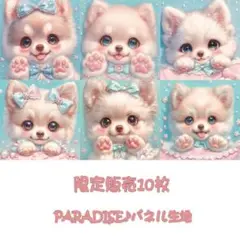 PARADISEパネル生地　 限定販売10枚　犬柄