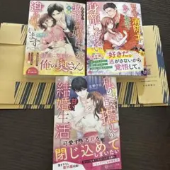新刊　tl小説　エタニティ文庫　オパール文庫　ベリーズひ文庫
