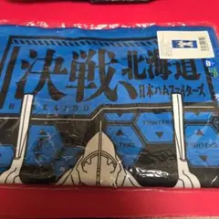 EVANGELION×FIGHTERS エヴァンゲリオン タオル