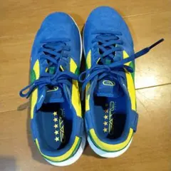 ブラジル国旗イメージ スエードシューズ